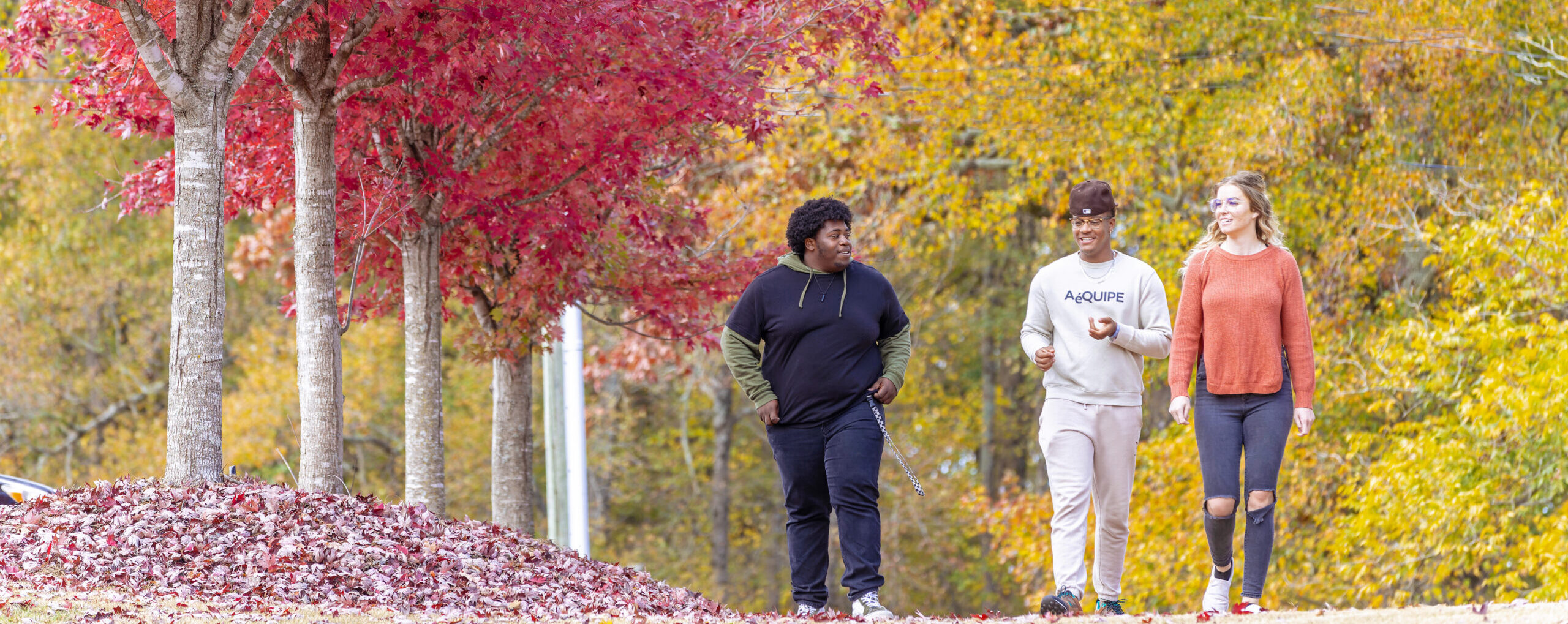 Fall Registration Emmanuel University Course Enrollment